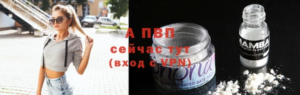 прущие грибы Белоозёрский