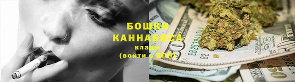 дмт Белокуриха