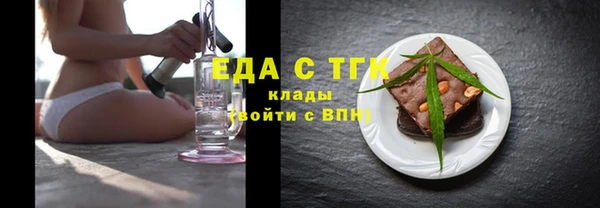 индика Покачи