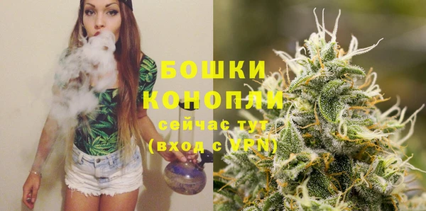 прущие грибы Белоозёрский