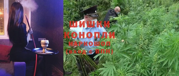 дмт Белокуриха