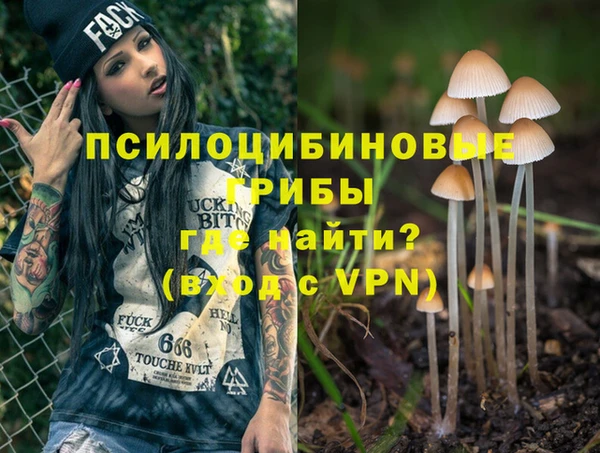 дмт Белокуриха