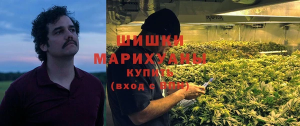 прущие грибы Белоозёрский