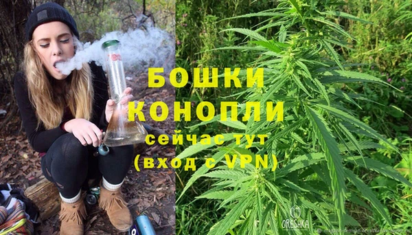 прущие грибы Белоозёрский
