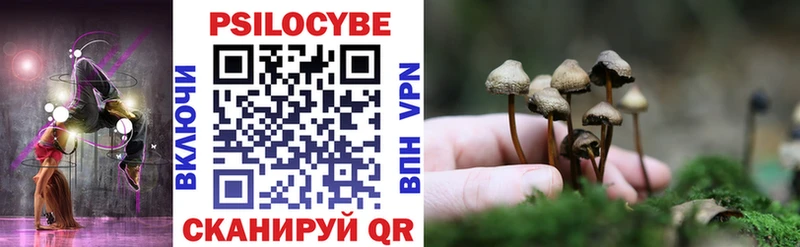 Галлюциногенные грибы GOLDEN TEACHER  гидра зеркало  Нерчинск  сколько стоит 